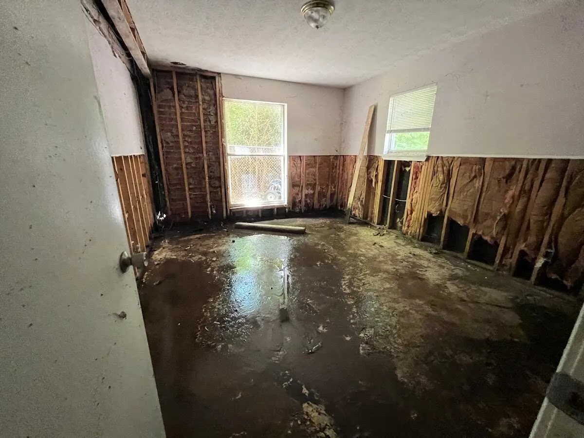 Water Damage Restoration in Deer Park, TX
